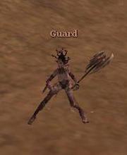 Aralman Guard
